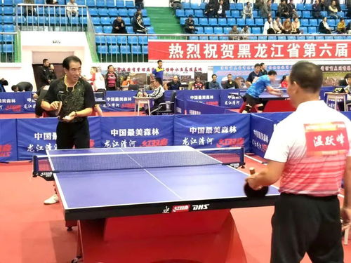 鹤岗职工在省第六届 中国最美森林清河杯 职工乒乓球比赛中获佳绩