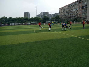 2018年邯郸市体育节校园足球分区赛 复兴赛区 圆满落幕